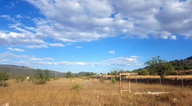 Teren niezagospodarowany na sprzedaż w Monóvar / Monóver - 69 999 € (Ref: 8753885)