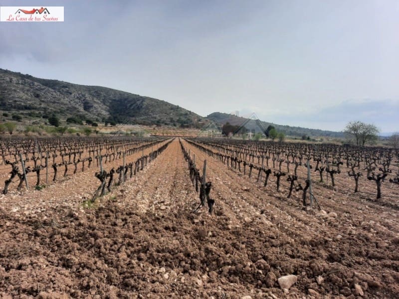 Terreno Não Urbanizado para venda em Sax - 77 000 € (Ref: 8776971)