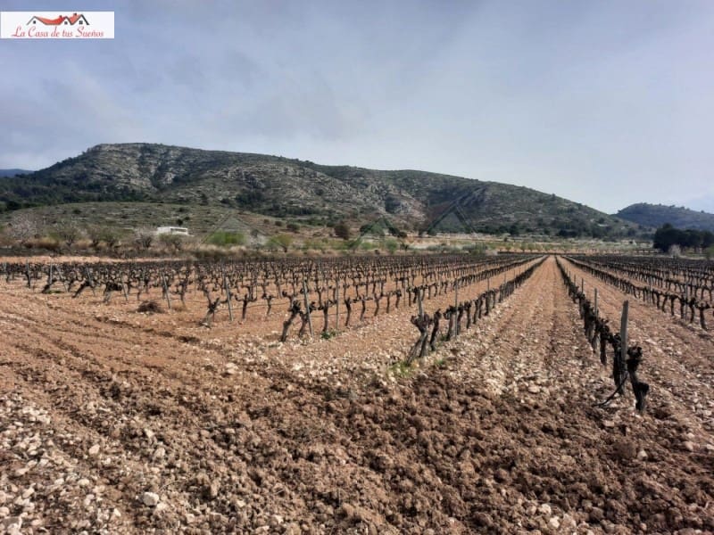 Terreno Não Urbanizado para venda em Sax - 77 000 € (Ref: 8776971)