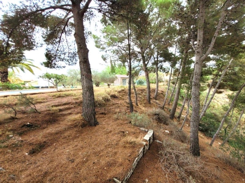 4 sovrum Finca/Hus på landet till salu i Petrel / Petrer med pool - 290 000 € (Ref: 8776978)