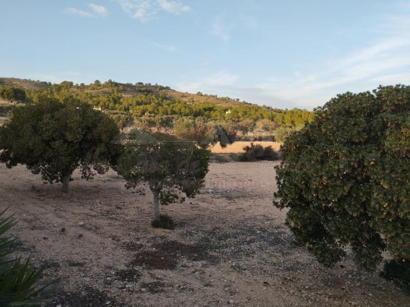 2 sypialnia Willa na sprzedaż w Sax z basenem - 240 000 € (Ref: 8776988)