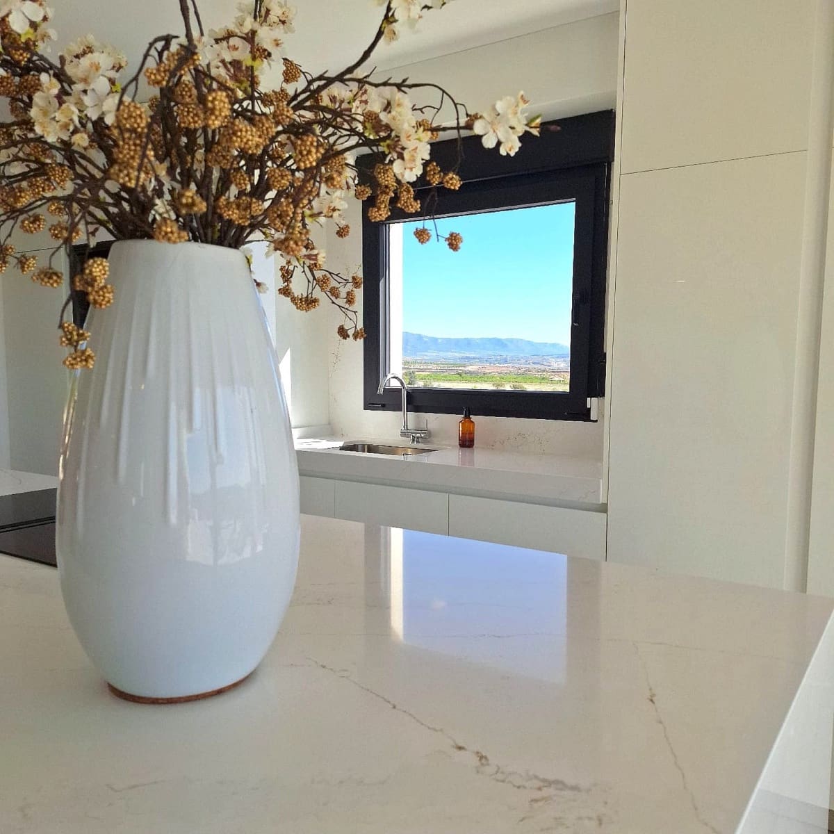 4 bedroom Villa for sale in Pinoso with pool - € 549,000 (Ref: 9202203)