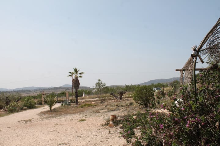 4 soveværelse Finca/Landehus til salg i Pinoso med swimmingpool - € 324.000 (Ref: 9202211)