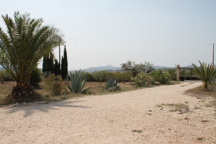 4 soveværelse Finca/Landehus til salg i Pinoso med swimmingpool - € 324.000 (Ref: 9202211)