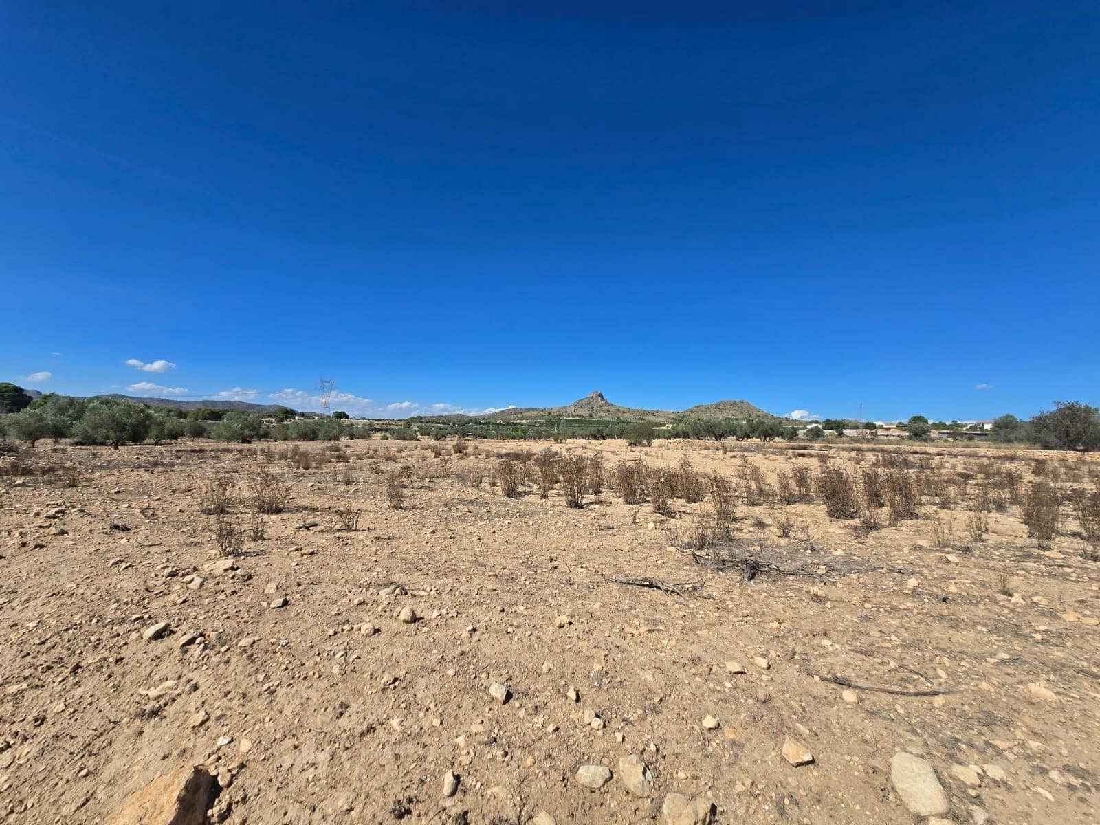 Mark till salu i Salinas - 33 500 € (Ref: 9272905)