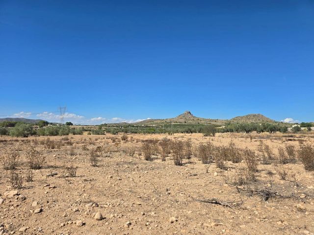 Terreno Non Edificato in vendita in Salinas - 33.500 € (Rif: 9272905)