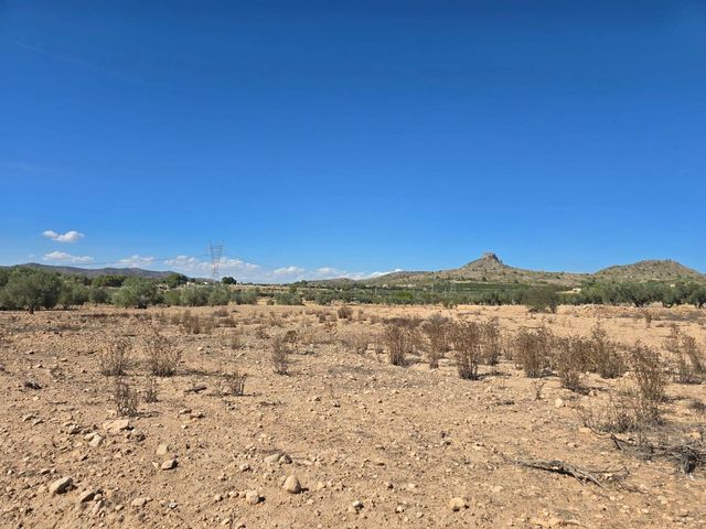 Terreno Non Edificato in vendita in Salinas - 33.500 € (Rif: 9272905)