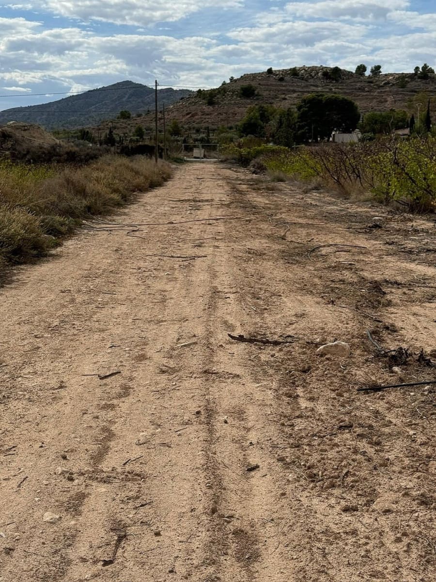 Terreno/Finca Rústica en Monóvar / Monóver en venta - 94.995 € (Ref: 9284078)