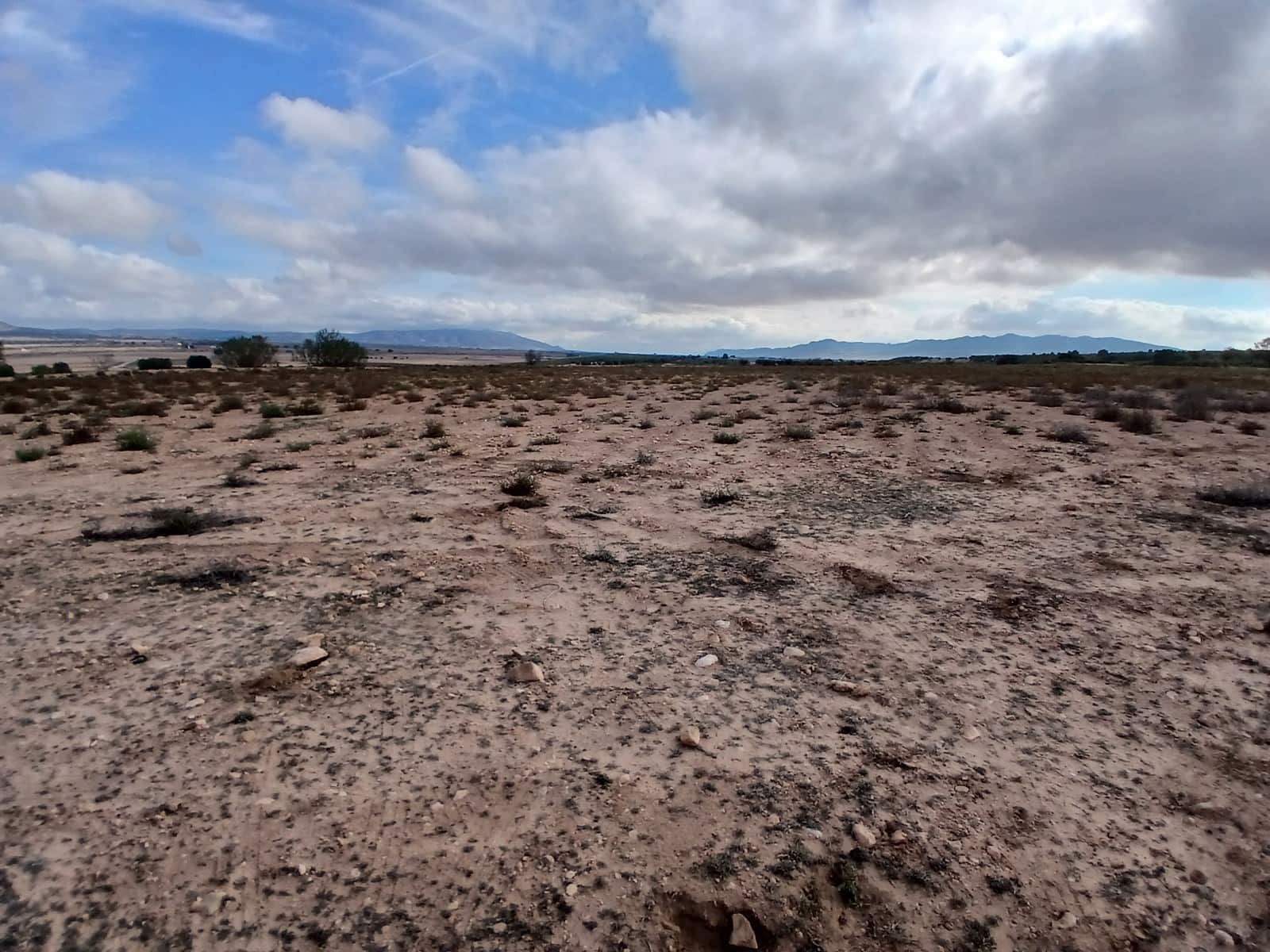 Teren niezagospodarowany na sprzedaż w Yecla - 570 000 € (Ref: 9284079)