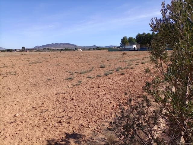 Undeveloped Land for sale in Yecla - € 34,000 (Ref: 9284080)