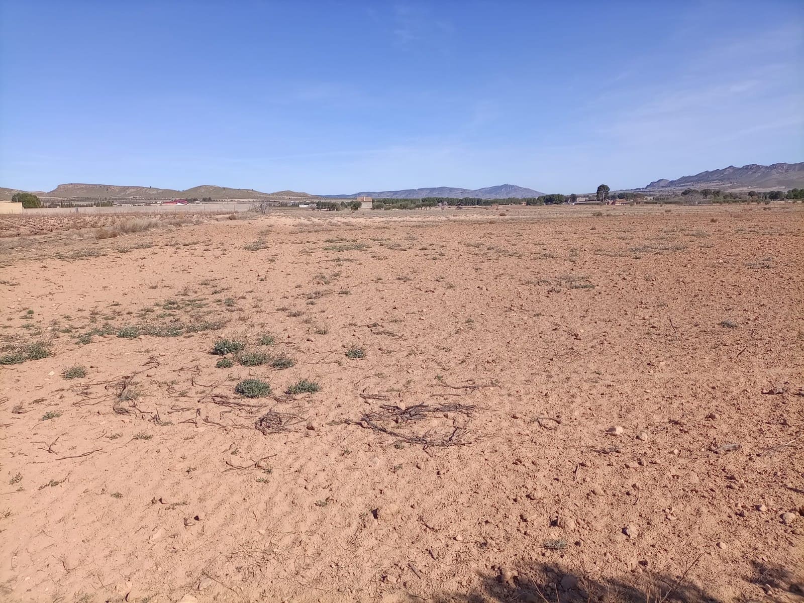 Undeveloped Land for sale in Yecla - € 34,000 (Ref: 9284080)