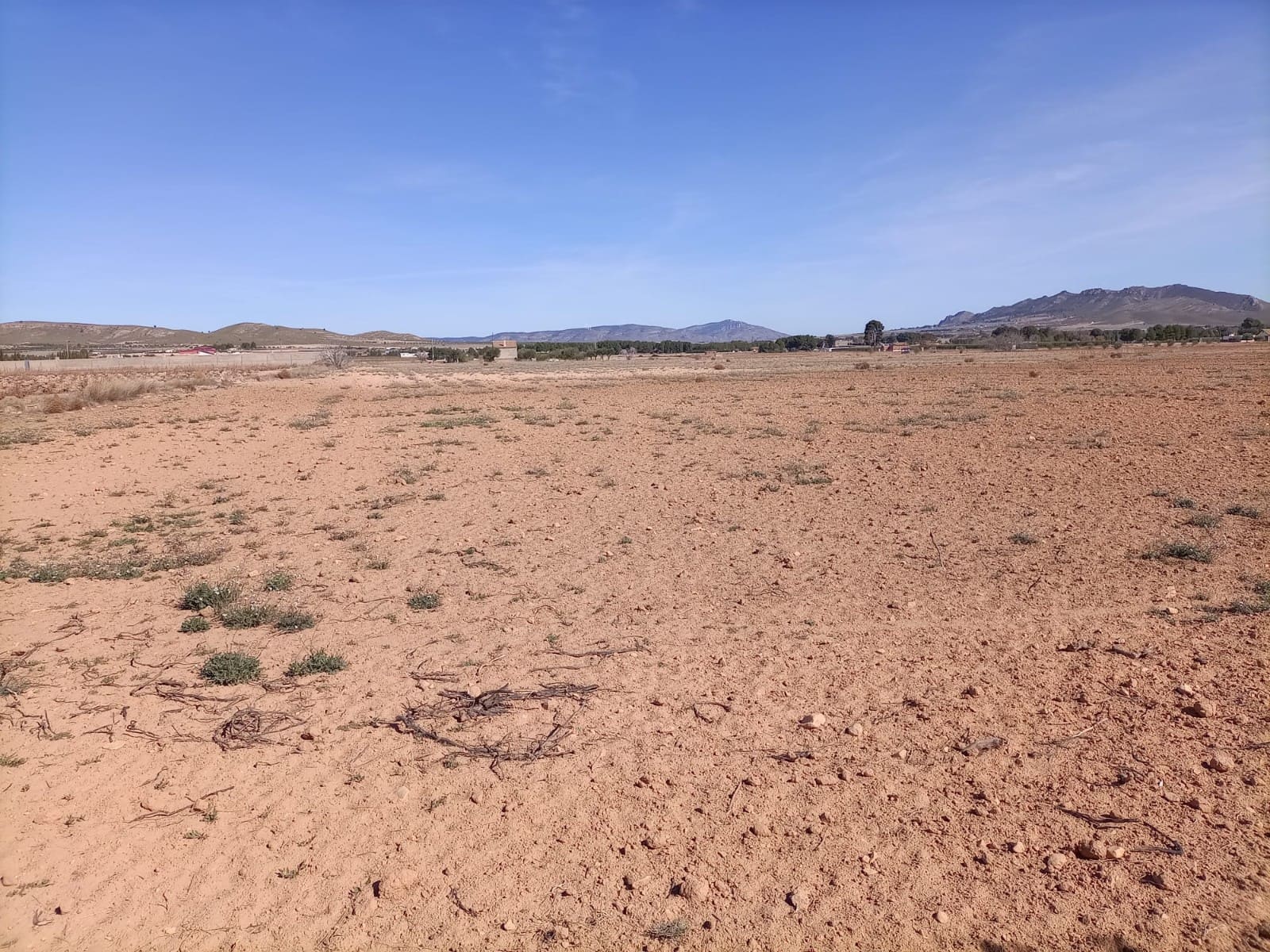 Undeveloped Land for sale in Yecla - € 34,000 (Ref: 9284080)