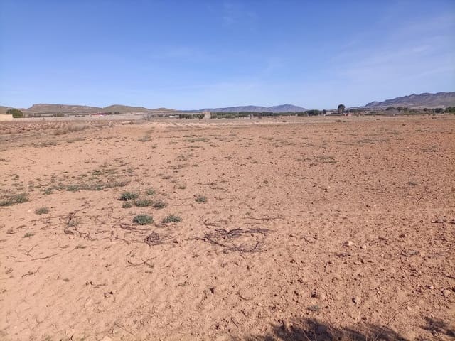 Undeveloped Land for sale in Yecla - € 34,000 (Ref: 9284080)