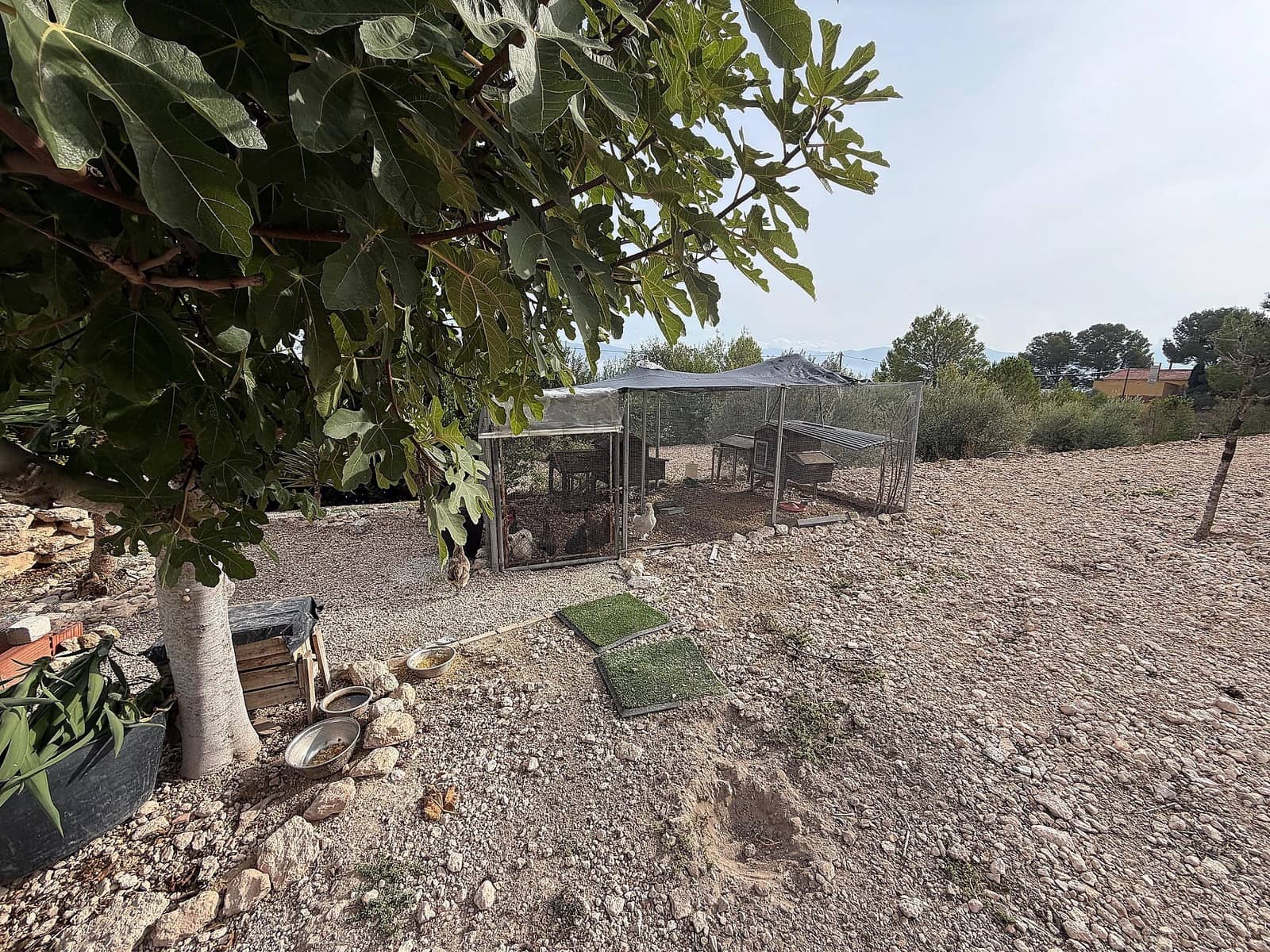 5 soveværelse Villa til salg i Sax med swimmingpool - € 375.000 (Ref: 9317238)