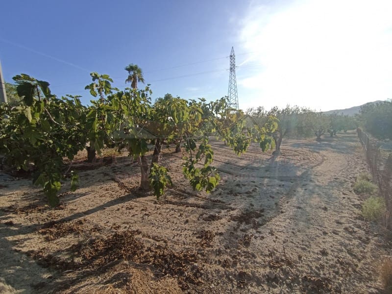 2 bedroom Finca/Country House for sale in Sax with pool - € 150,000 (Ref: 9341862)