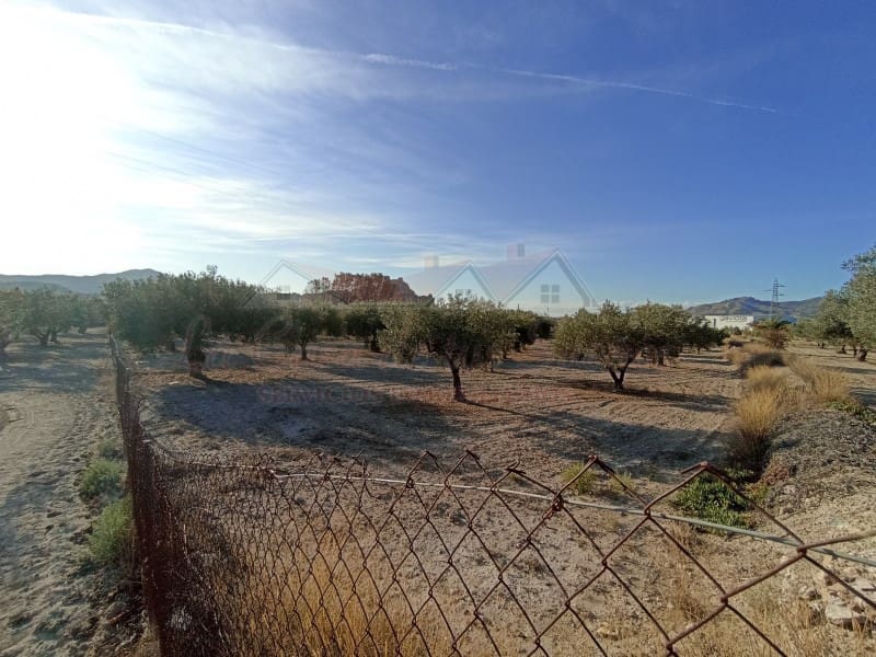 2 bedroom Finca/Country House for sale in Sax with pool - € 150,000 (Ref: 9341862)