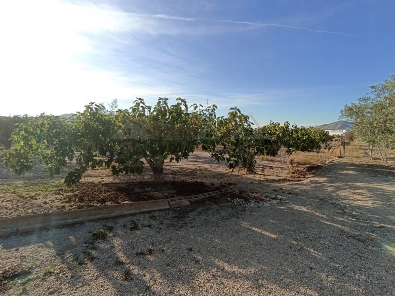 2 bedroom Finca/Country House for sale in Sax with pool - € 150,000 (Ref: 9341862)