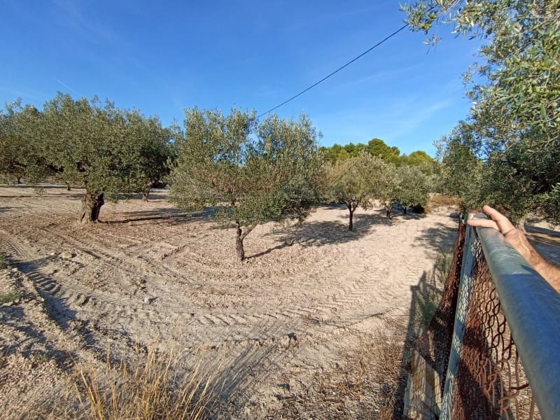 2 bedroom Finca/Country House for sale in Sax with pool - € 150,000 (Ref: 9341862)