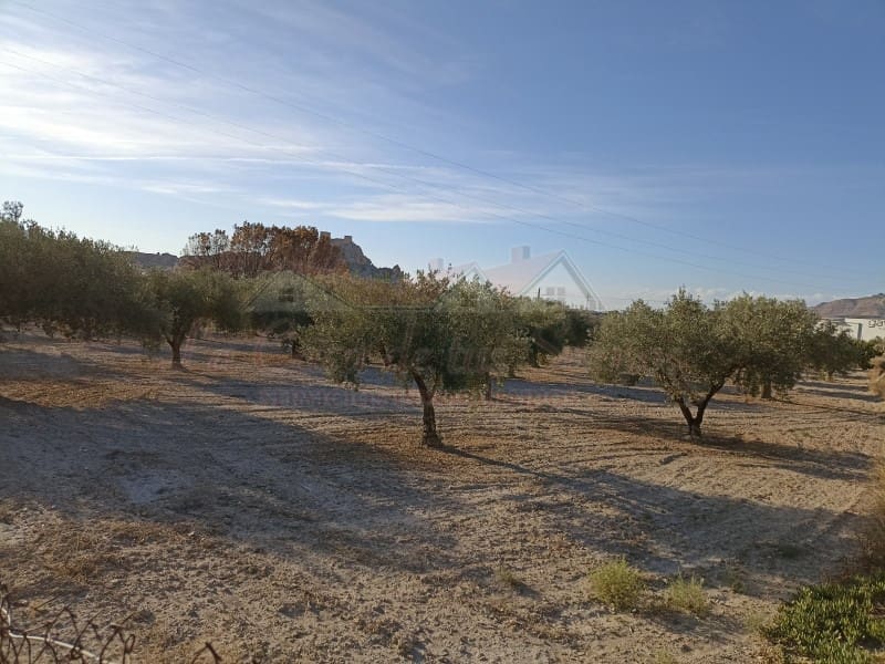 2 bedroom Finca/Country House for sale in Sax with pool - € 150,000 (Ref: 9341862)