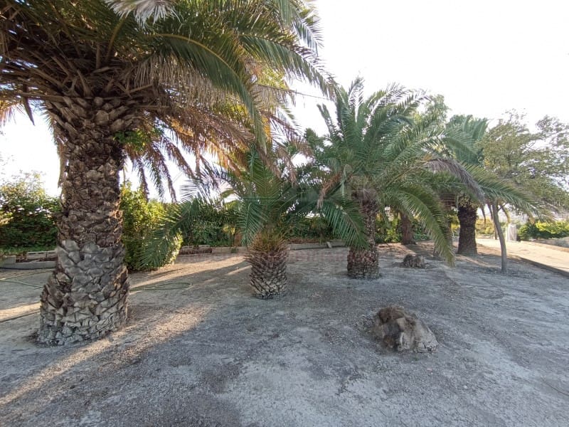 2 bedroom Finca/Country House for sale in Sax with pool - € 150,000 (Ref: 9341862)