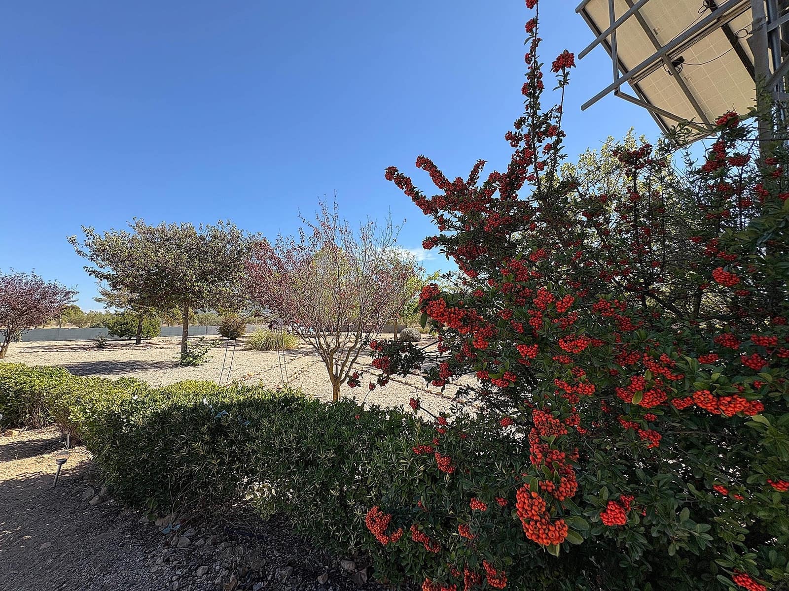 3 chambre Villa/Maison à vendre à Biar avec piscine - 349 995 € (Ref: 9361963)