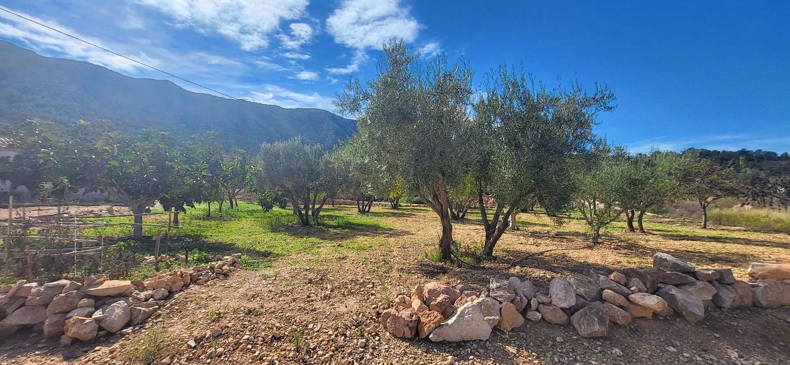 2 quarto Moradia para venda em La Romana com piscina garagem - 275 000 € (Ref: 9366972)