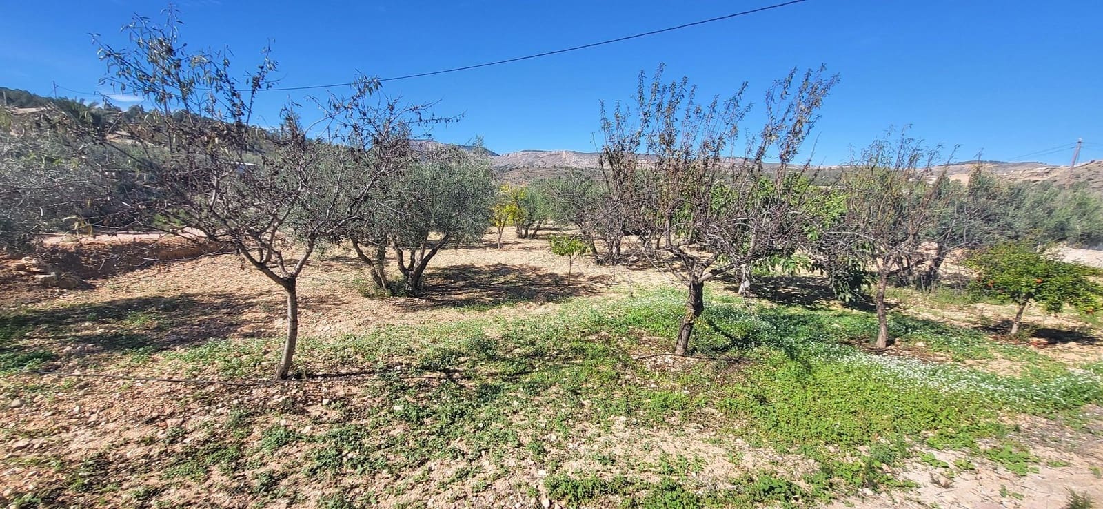 2 quarto Moradia para venda em La Romana com piscina garagem - 275 000 € (Ref: 9366972)