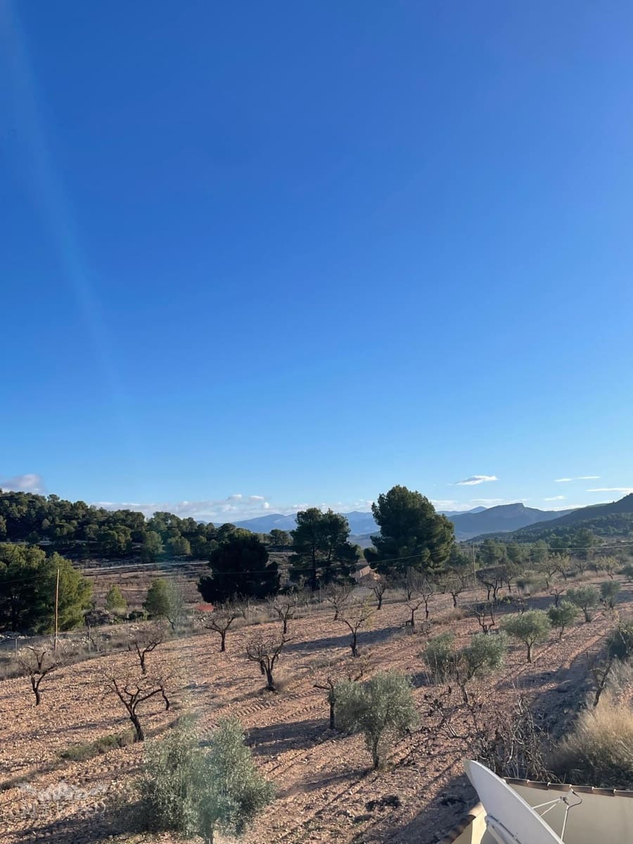 6 bedroom Villa for sale in Pinoso with pool - € 649,995 (Ref: 9387493)