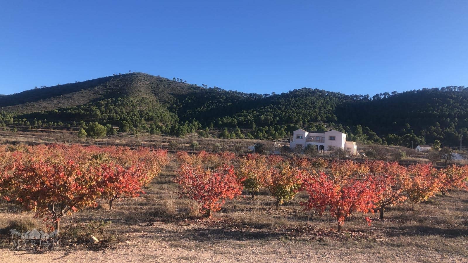 6 bedroom Villa for sale in Pinoso with pool - € 649,995 (Ref: 9387493)