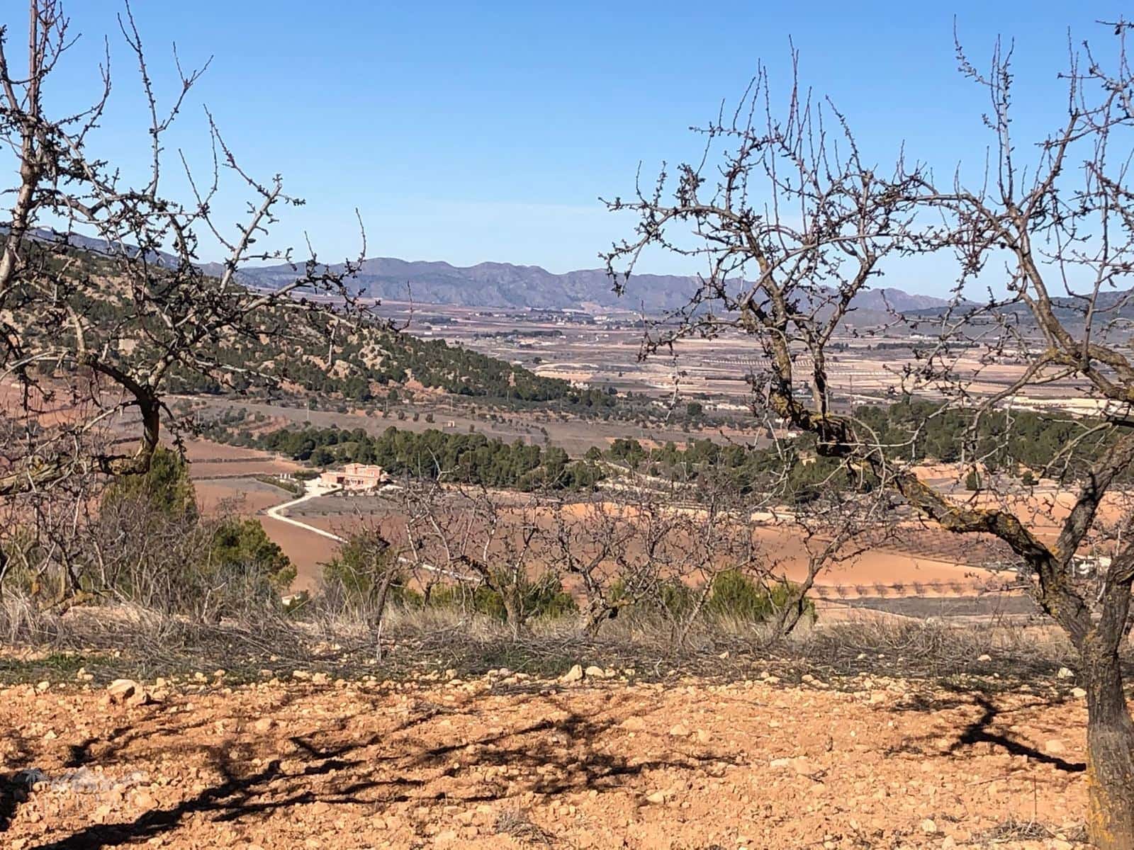 6 bedroom Villa for sale in Pinoso with pool - € 649,995 (Ref: 9387493)