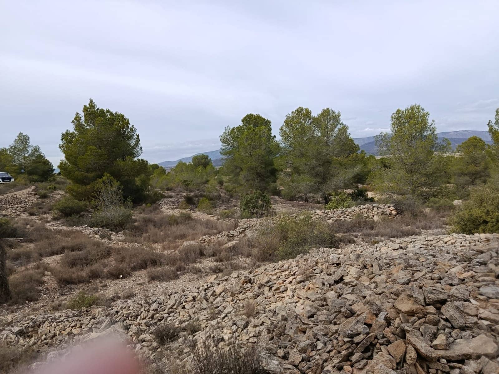 Landgrundstück zu verkaufen in Monovar / Monover - 55.000 € (Ref: 9390174)