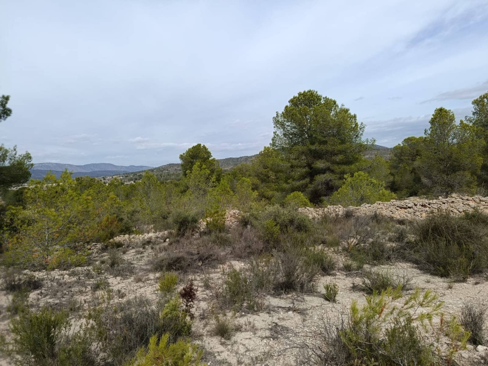 Landgrundstück zu verkaufen in Monovar / Monover - 55.000 € (Ref: 9390174)