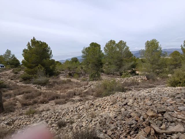 Mark till salu i Monóvar / Monóver - 55 000 € (Ref: 9390174)