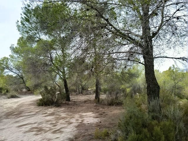 Mark till salu i Monóvar / Monóver - 55 000 € (Ref: 9390174)