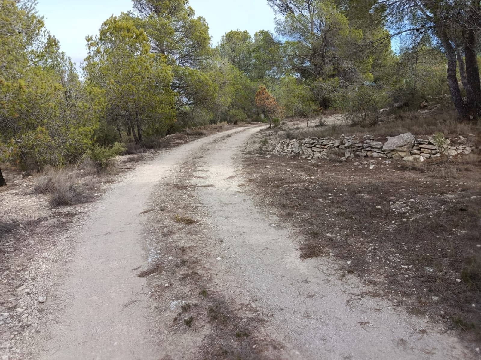 Landgrundstück zu verkaufen in Monovar / Monover - 55.000 € (Ref: 9390174)