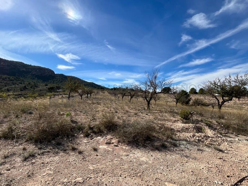 2 soveværelse Finca/Landehus til salg i Elda med swimmingpool - € 150.000 (Ref: 9400399)