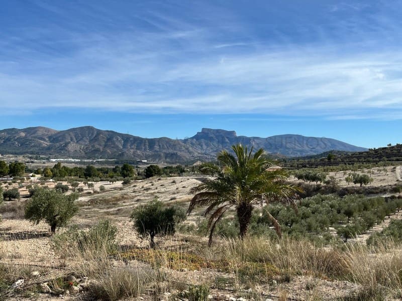 2 soveværelse Finca/Landehus til salg i Elda med swimmingpool - € 150.000 (Ref: 9400399)