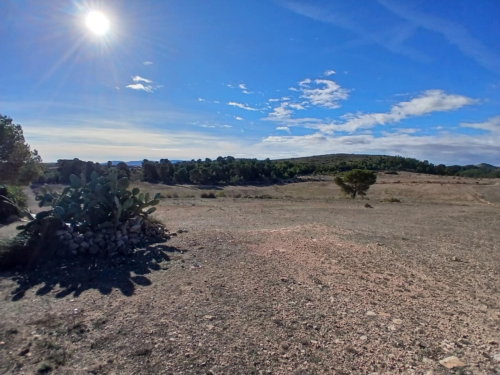 6 slaapkamer Finca/Landhuis te koop in Caudete met zwembad garage - € 199.950 (Ref: 9415484)