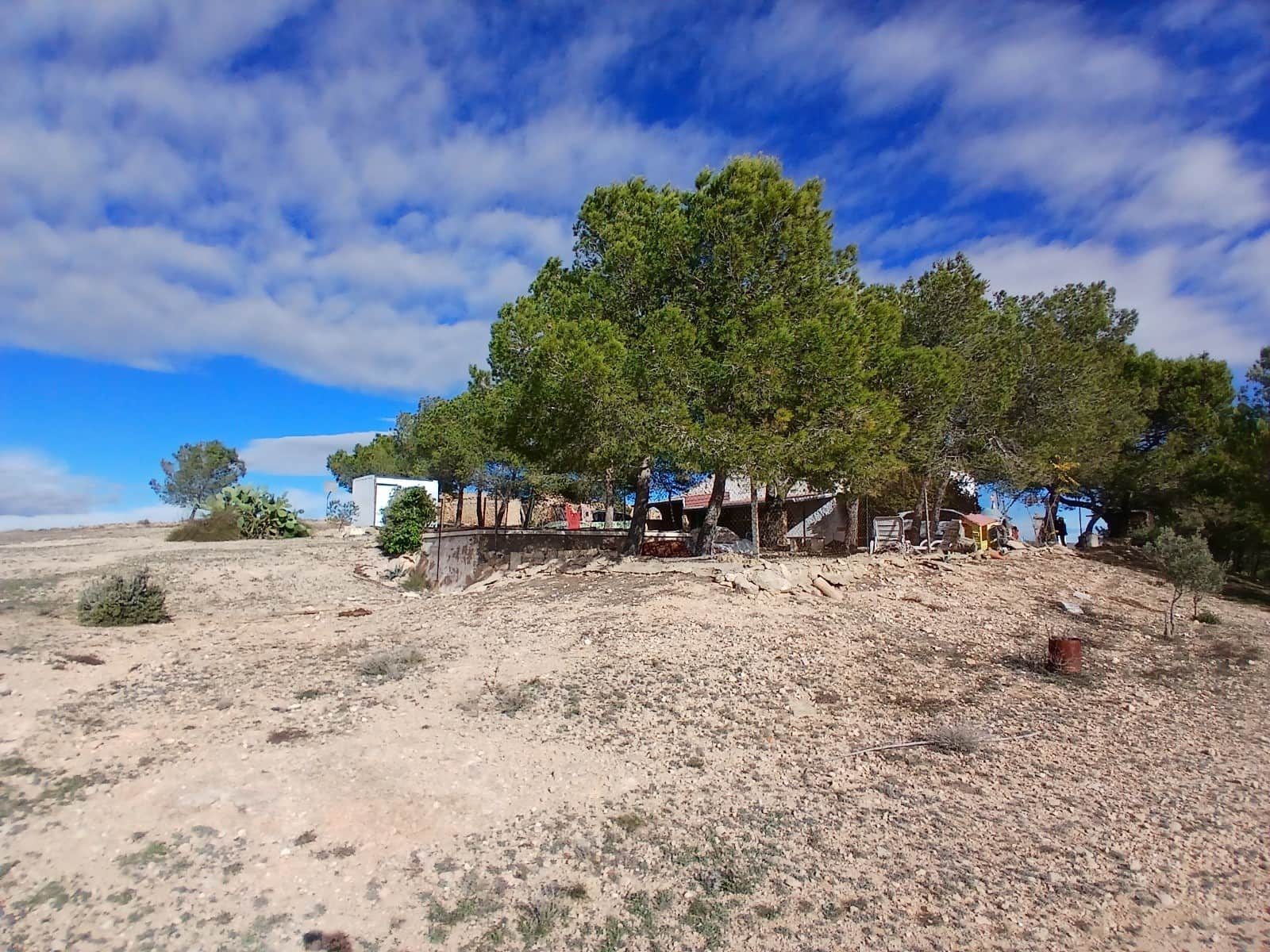 6 slaapkamer Finca/Landhuis te koop in Caudete met zwembad garage - € 199.950 (Ref: 9415484)