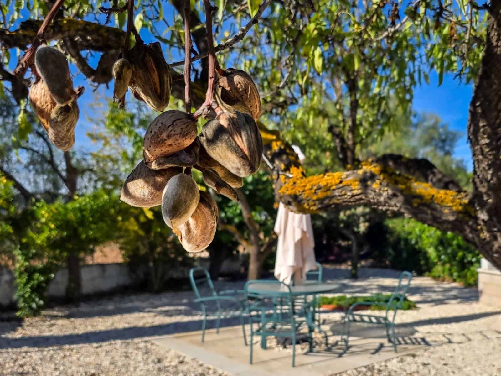 5 camera da letto Finca/Casa di Campagna in vendita in L'Alguena / Alguenya con piscina garage - 289.950 € (Rif: 9421915)