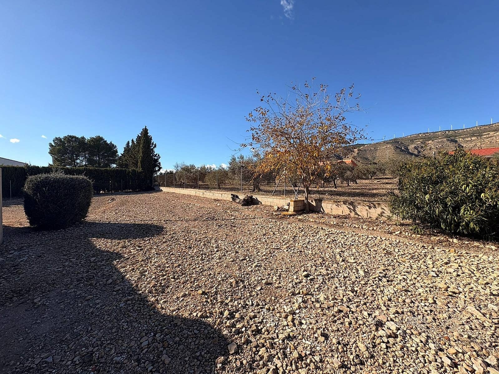 3 slaapkamer Finca/Landhuis te koop in Caudete met zwembad - € 249.995 (Ref: 9438053)