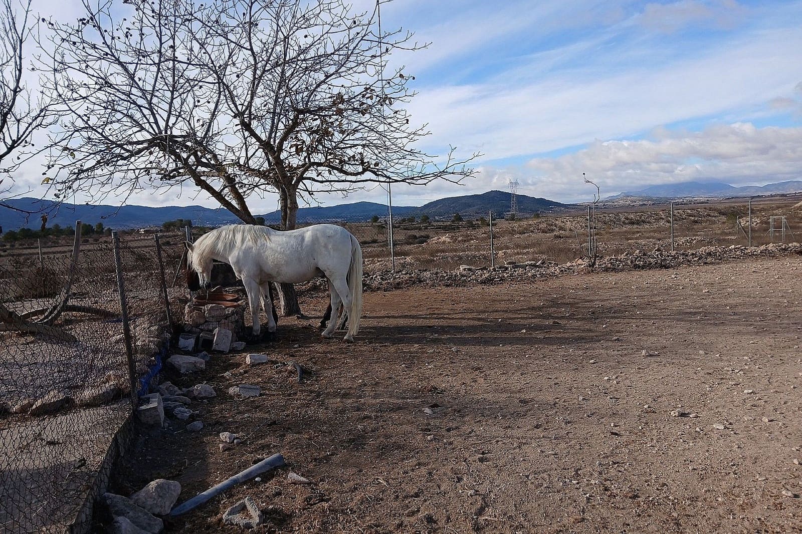 3 soveværelse Villa til salg i Monovar / Monover med swimmingpool garage - € 200.000 (Ref: 9440635)