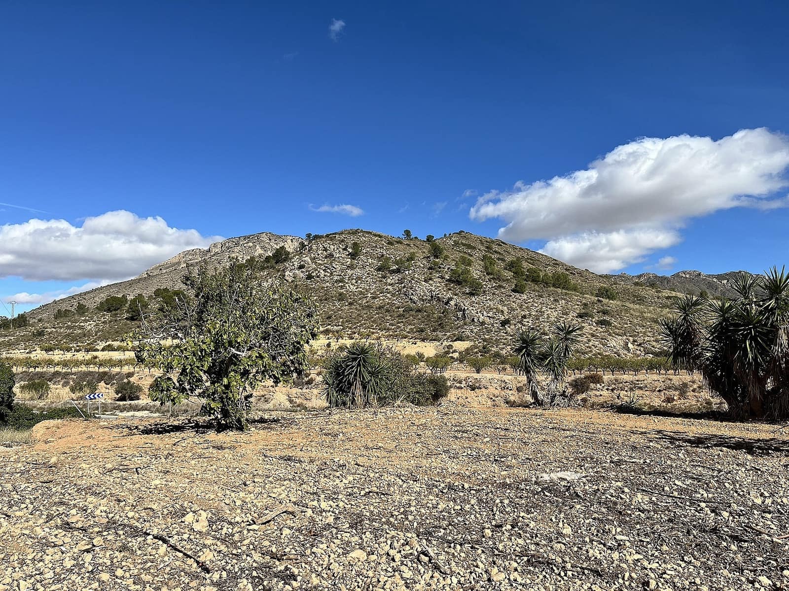 4 soveværelse Finca/Landehus til salg i El Canton med swimmingpool - € 149.950 (Ref: 9441267)