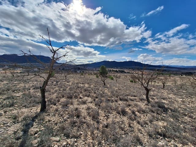 Mark till salu i Salinas - 55 000 € (Ref: 9471143)