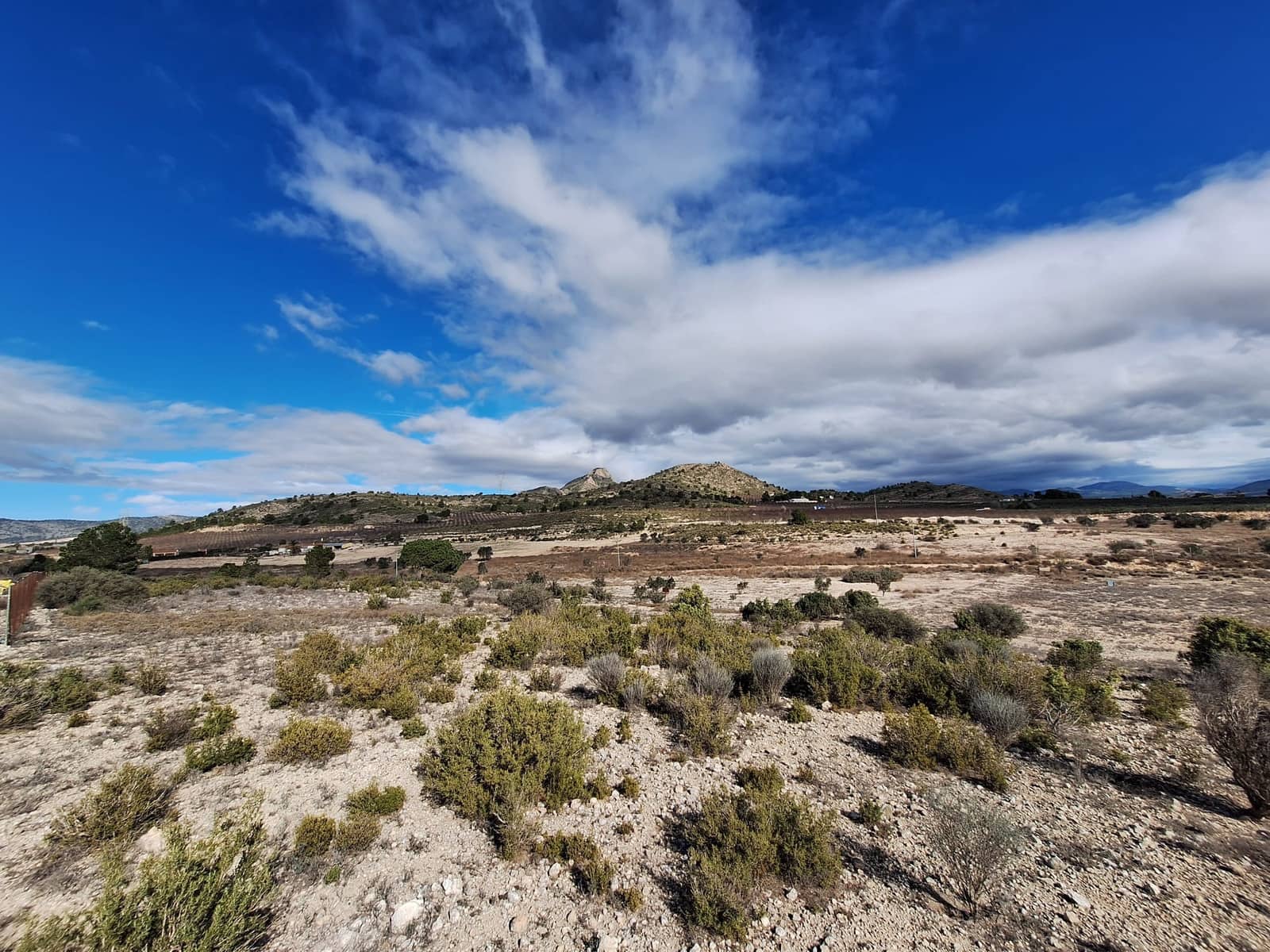 Mark till salu i Salinas - 55 000 € (Ref: 9471143)