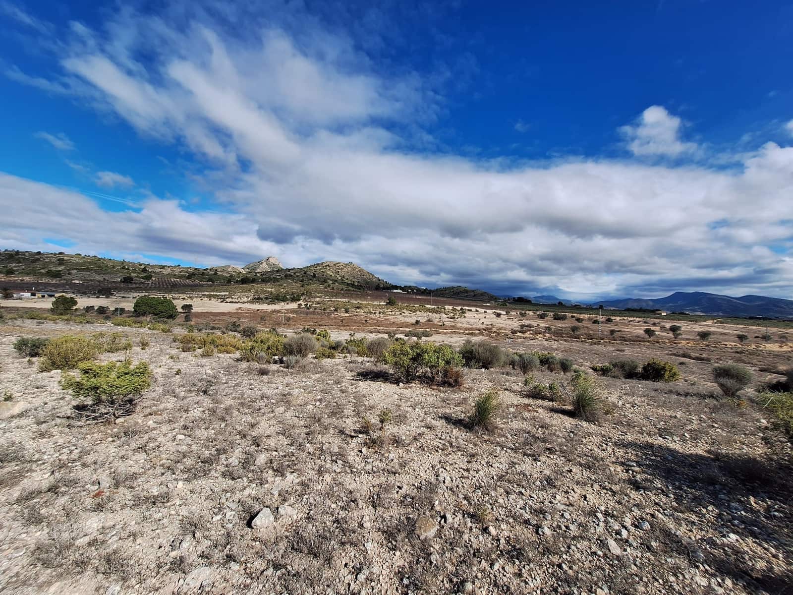 Mark till salu i Salinas - 55 000 € (Ref: 9471143)