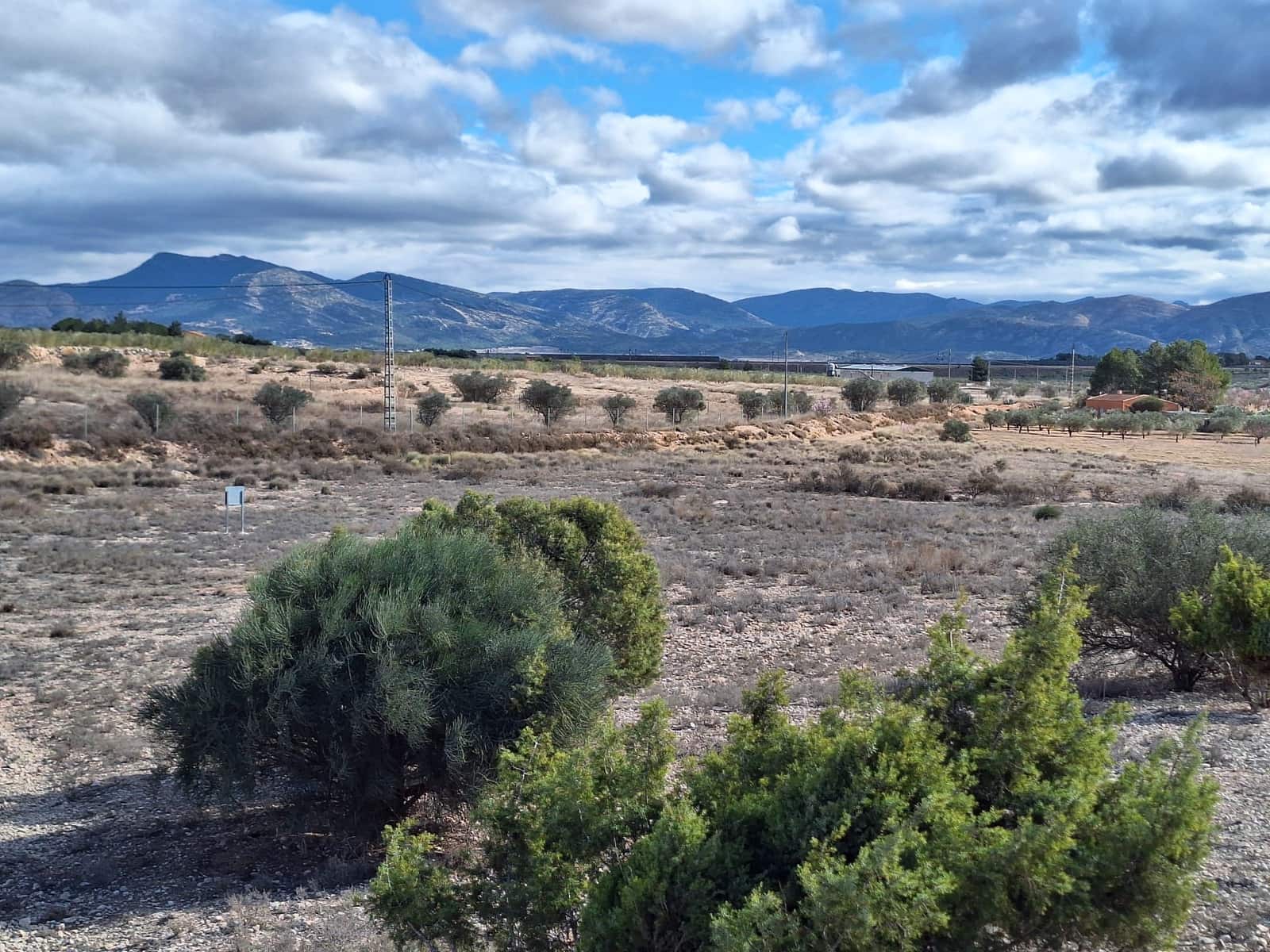 Mark till salu i Salinas - 55 000 € (Ref: 9471143)