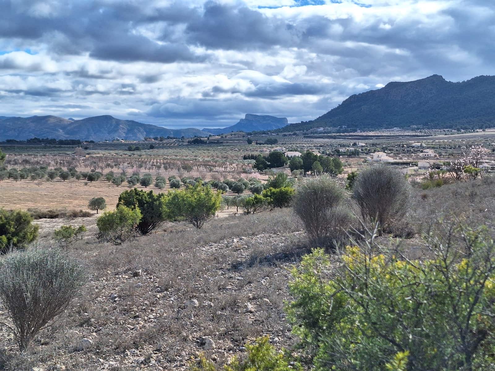 Mark till salu i Salinas - 55 000 € (Ref: 9471143)