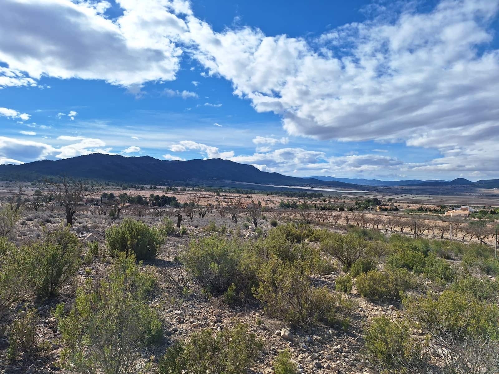 Mark till salu i Salinas - 55 000 € (Ref: 9471143)