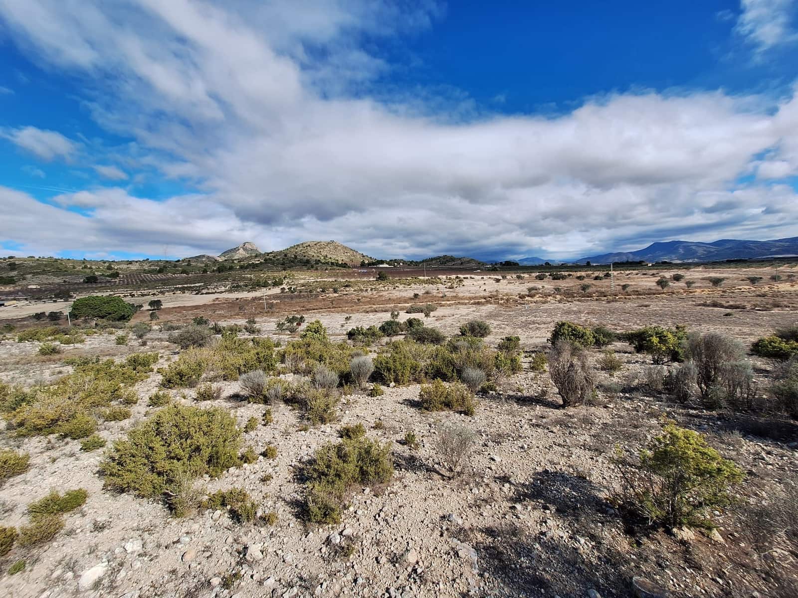 Mark till salu i Salinas - 55 000 € (Ref: 9471143)